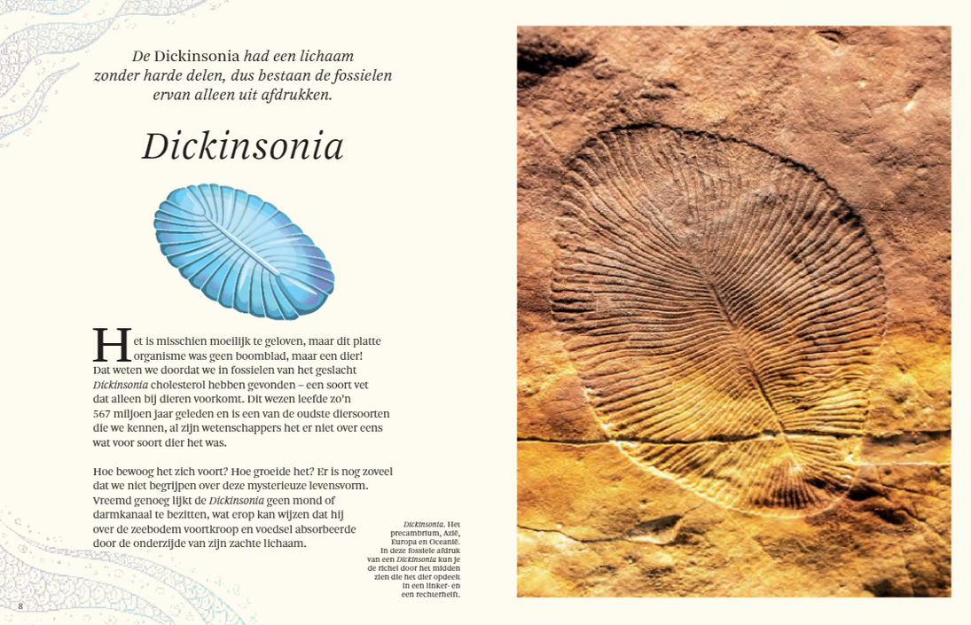 Het dikke boek van alle bijzondere dino's 7jr+