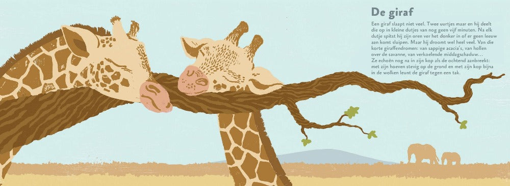 Zo slapen dieren 4 jr+