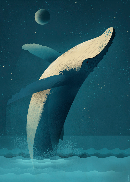 Dieter Braun poster humpback whale 50 x 70 cm