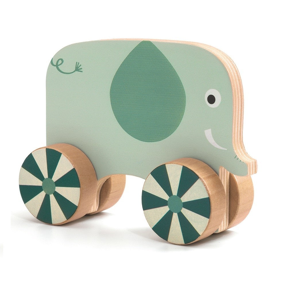 DJECO schroefdieren Vis'n'Roll 2jr+ 3070900016842