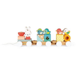 JANOD trein pure 1 jr+