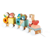 JANOD trein pure 1 jr+