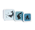 Petit Monkey trommel set Sea animals 12 x 12 cm