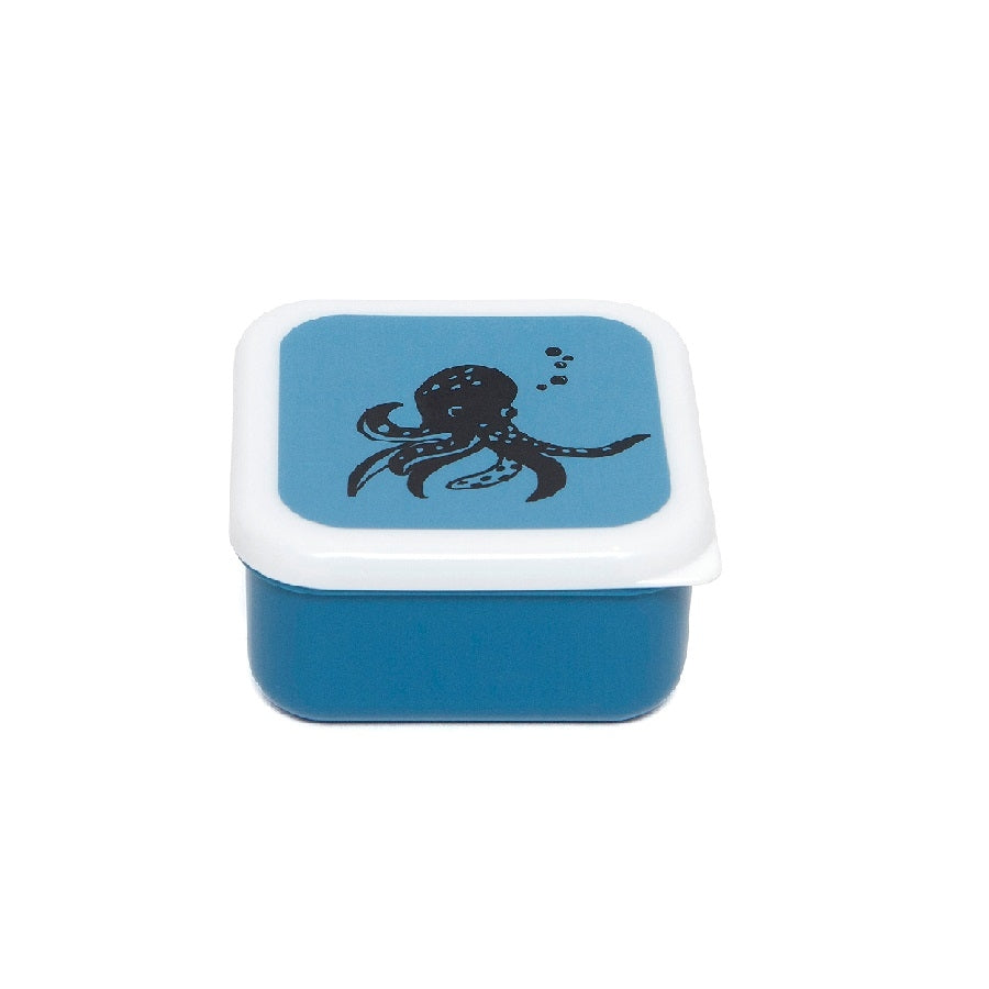 Petit Monkey trommel set Sea animals 12 x 12 cm LB21-R