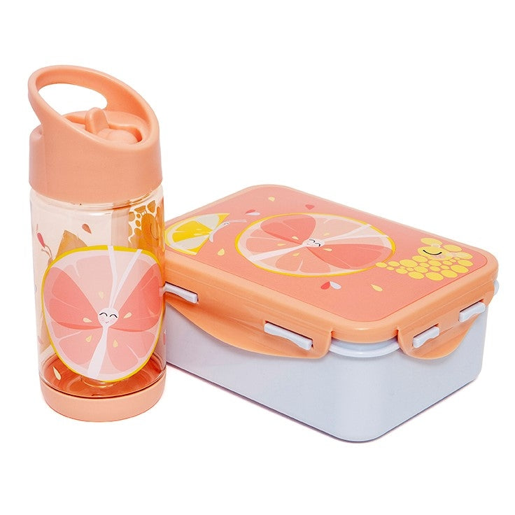 Petit Monkey lunchbox Flies