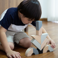 Plan Toys twisted blocks 2 jr+