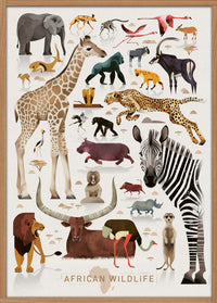 Dieter Braun poster African Wildlife 50 x 70 cm