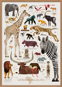 Dieter Braun poster African Wildlife 50 x 70 cm