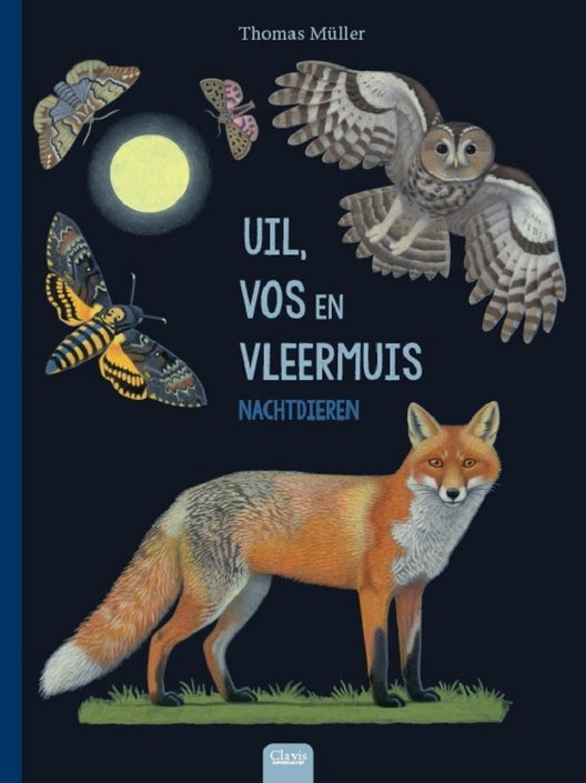 Uil, vos en vleermuis - nachtdieren 5 jr+